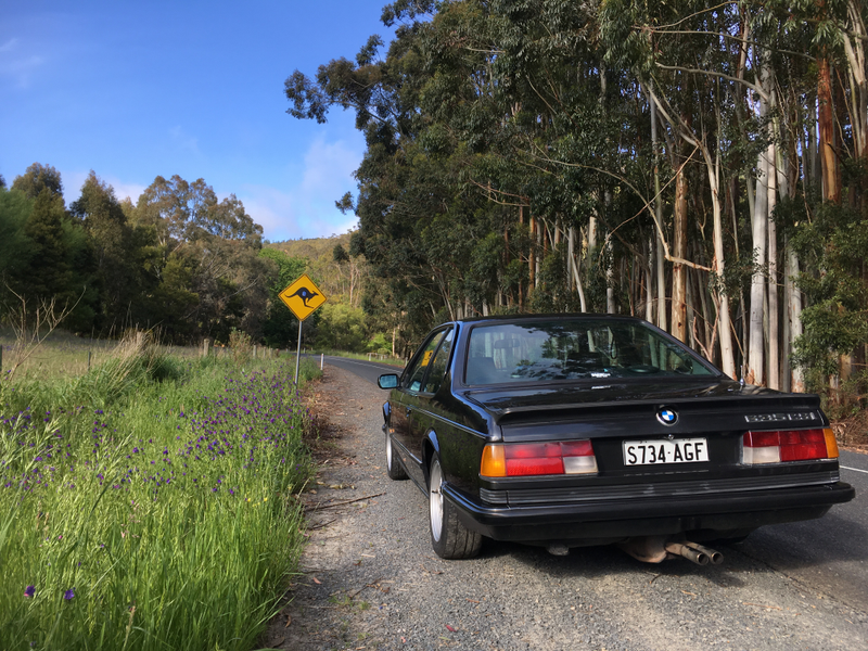 Illustration for article titled BMW 635CSi. Adelaide Hills. Springtime. Goodtime.